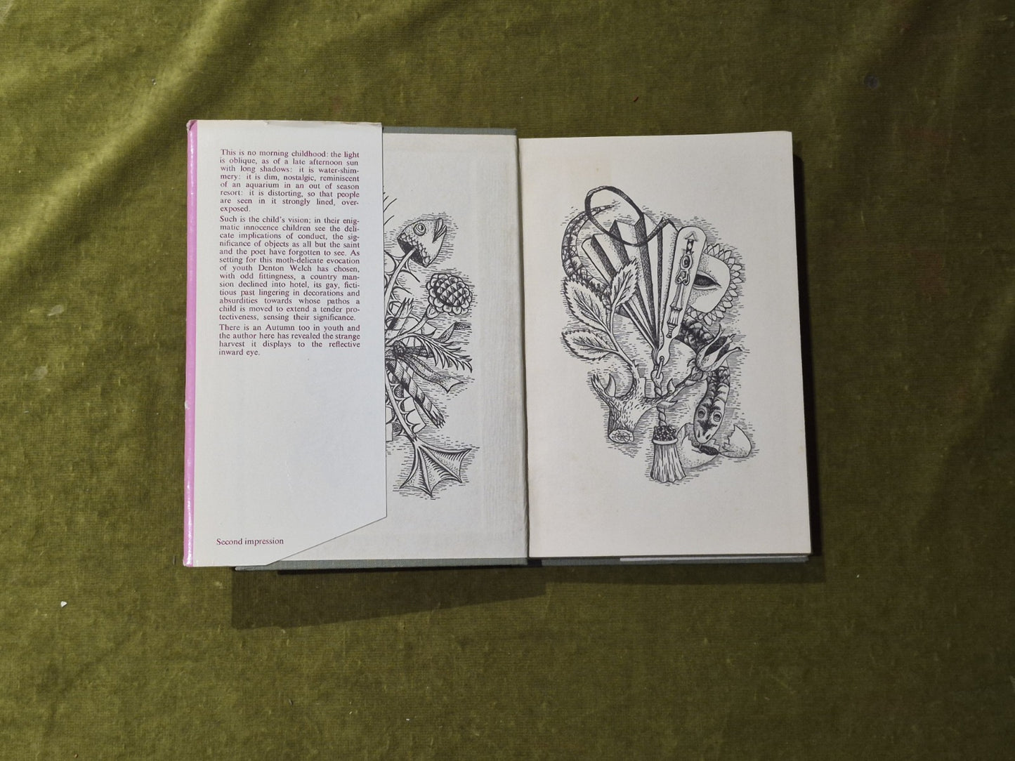 In Youth is Pleasure - Denton Welch , Vision 1958 reprint HB DJ3