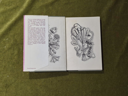 In Youth is Pleasure - Denton Welch , Vision 1958 reprint HB DJ3