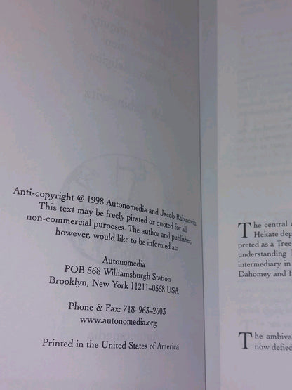 The Rotting Goddess : Origin of Witch in Classical Antiquity by Rabinowitz 19984