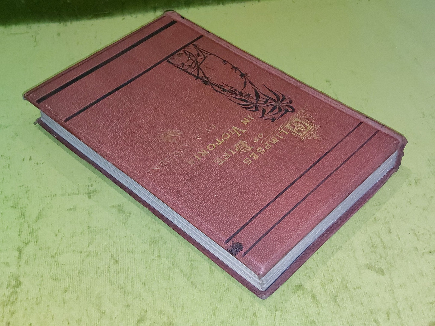 Glimpses of Life in Victoria by a Resident (1872) 1st Edition 3