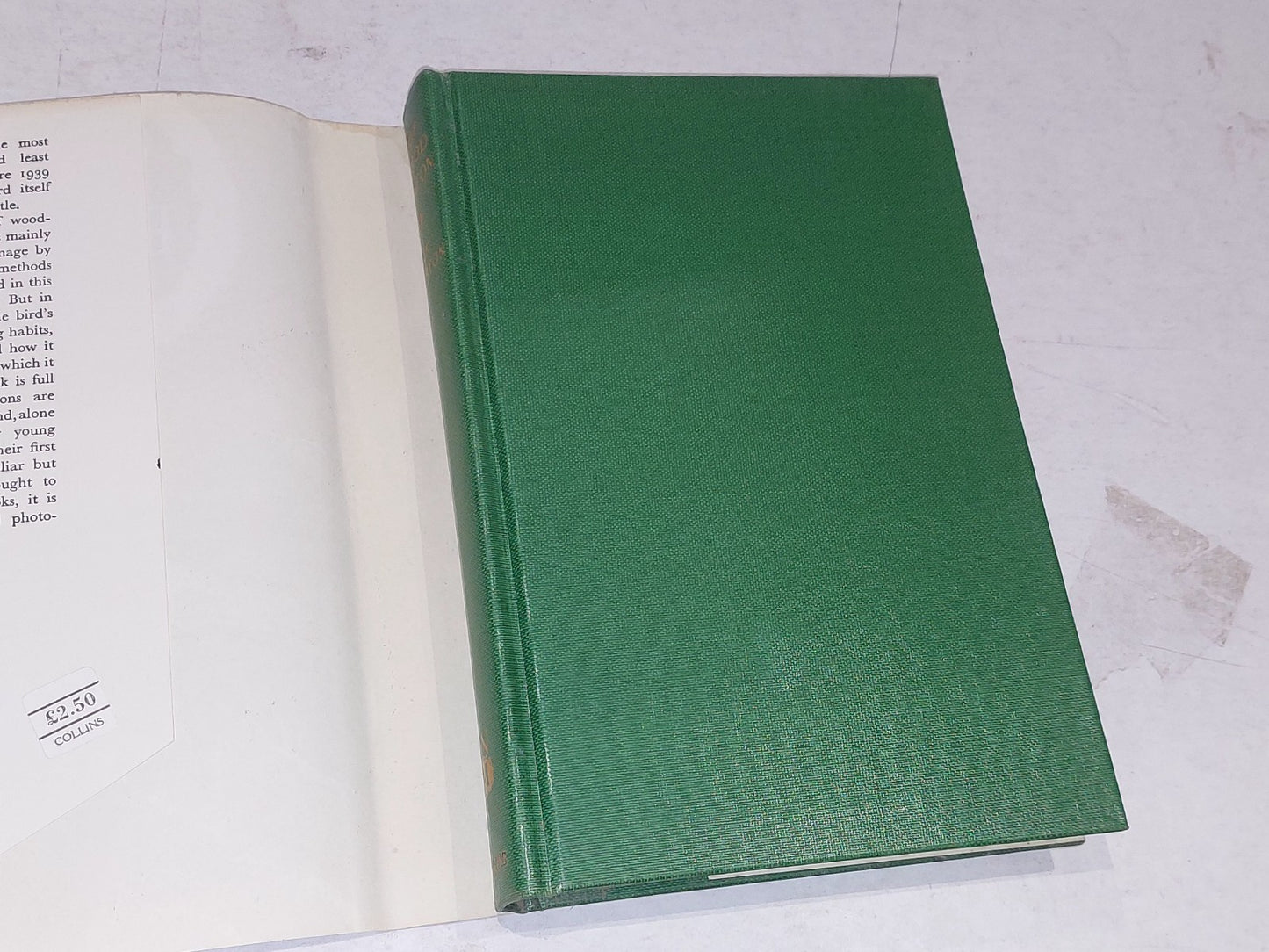 The Wood Pigeon by R. K. Murton (1965) 1st Ed, New Naturalist With Dustjacket 3