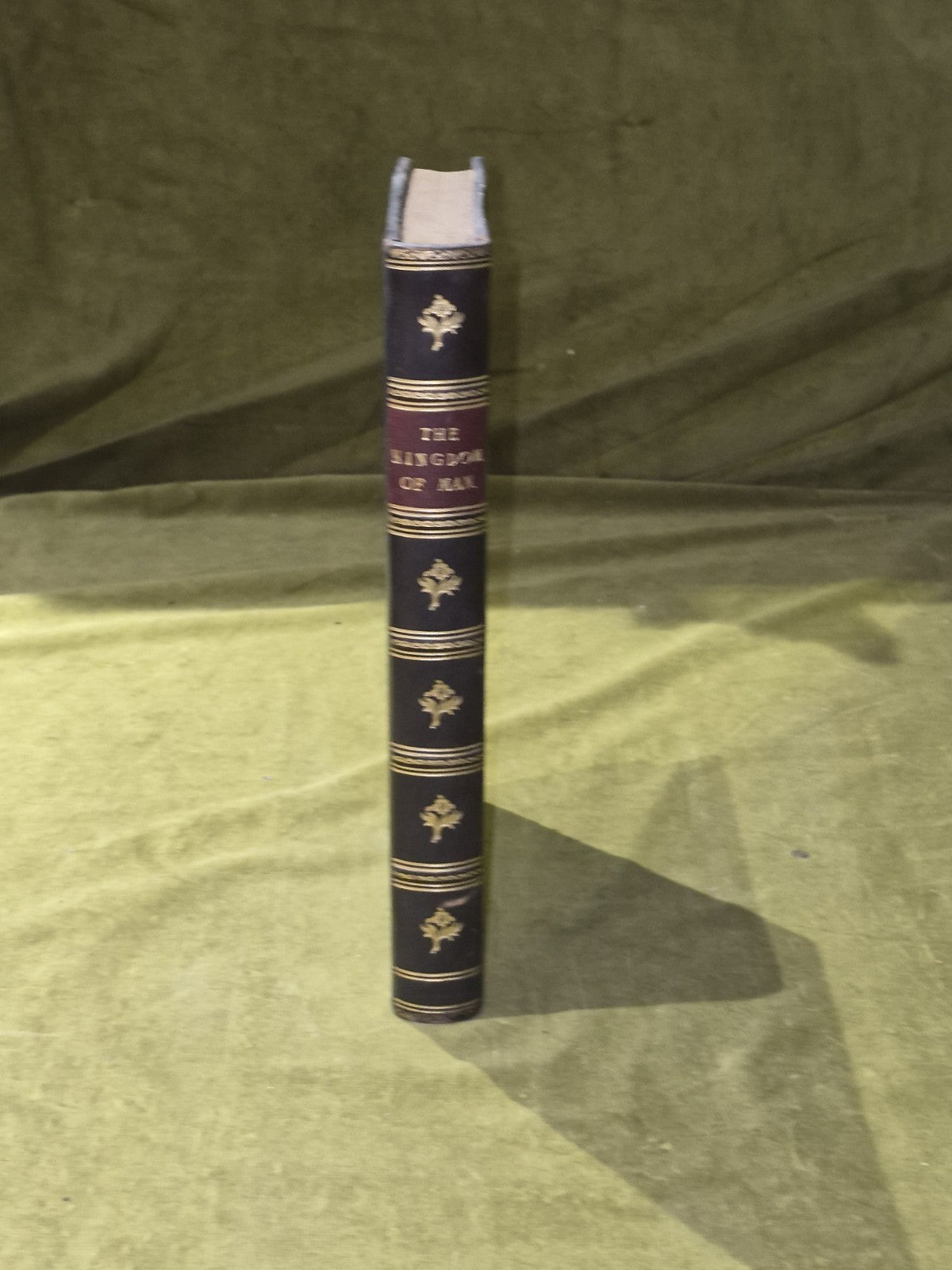 The Kingdom of Man - Edwin Ray Lankester - Watts & Co 1911 HB3