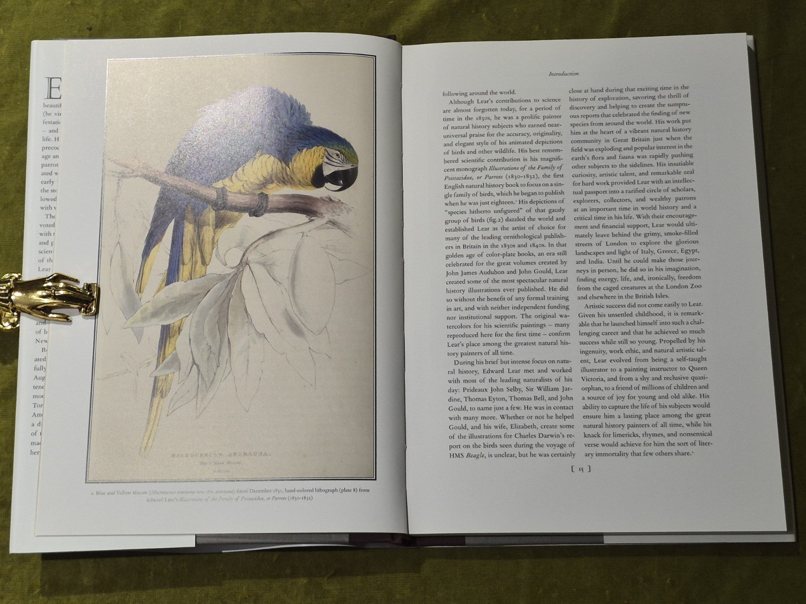 The Natural History of Edward Lear, Peck. 1st Ed 2016 ACC Art - HB DJ Near Fine6
