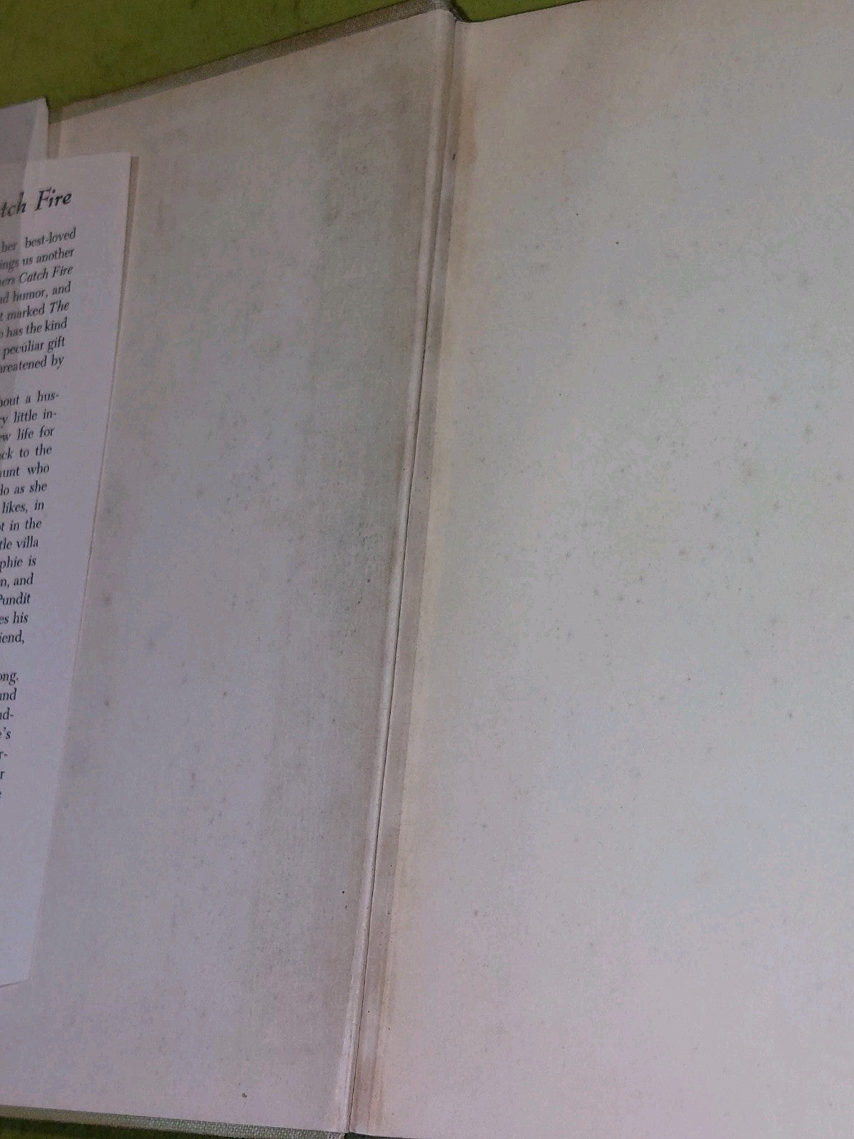 Kingfishers Catch Fire Godden (1953) Viking Press5