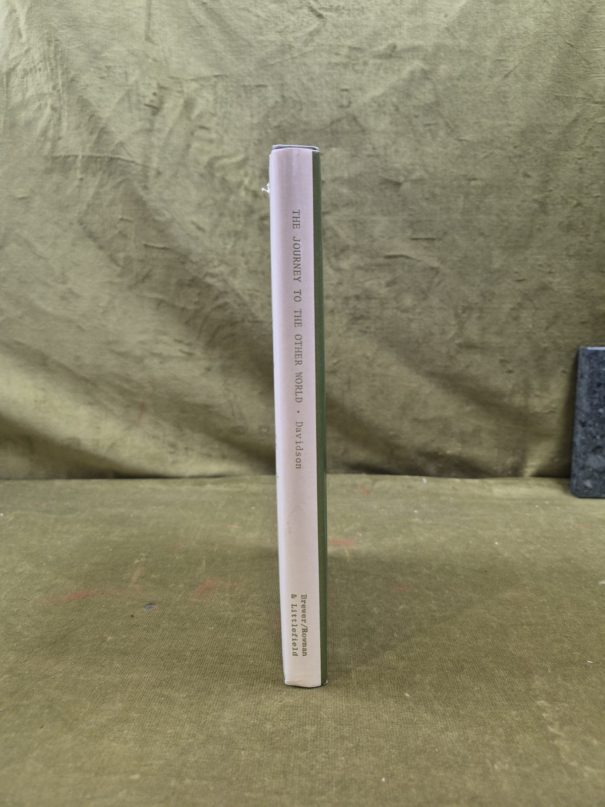 The Journey to the Other World - H R E Davidson , D S Brewer 1975 HB DJ5