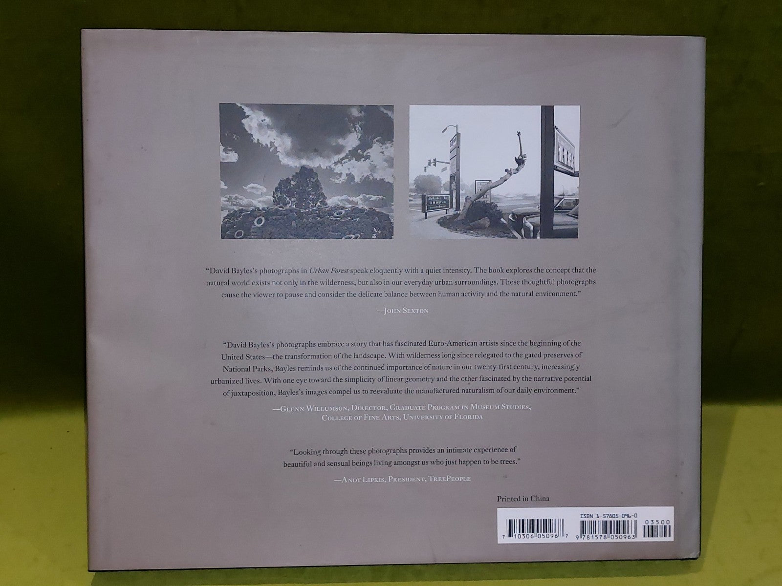 Urban Forest (2003) David Paul Bayles1