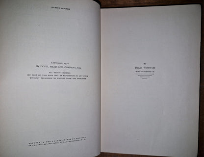 SUCKER'S PROGRESS by Herbert Asbury - 1938 Hardcover First Edition Illustrated 8