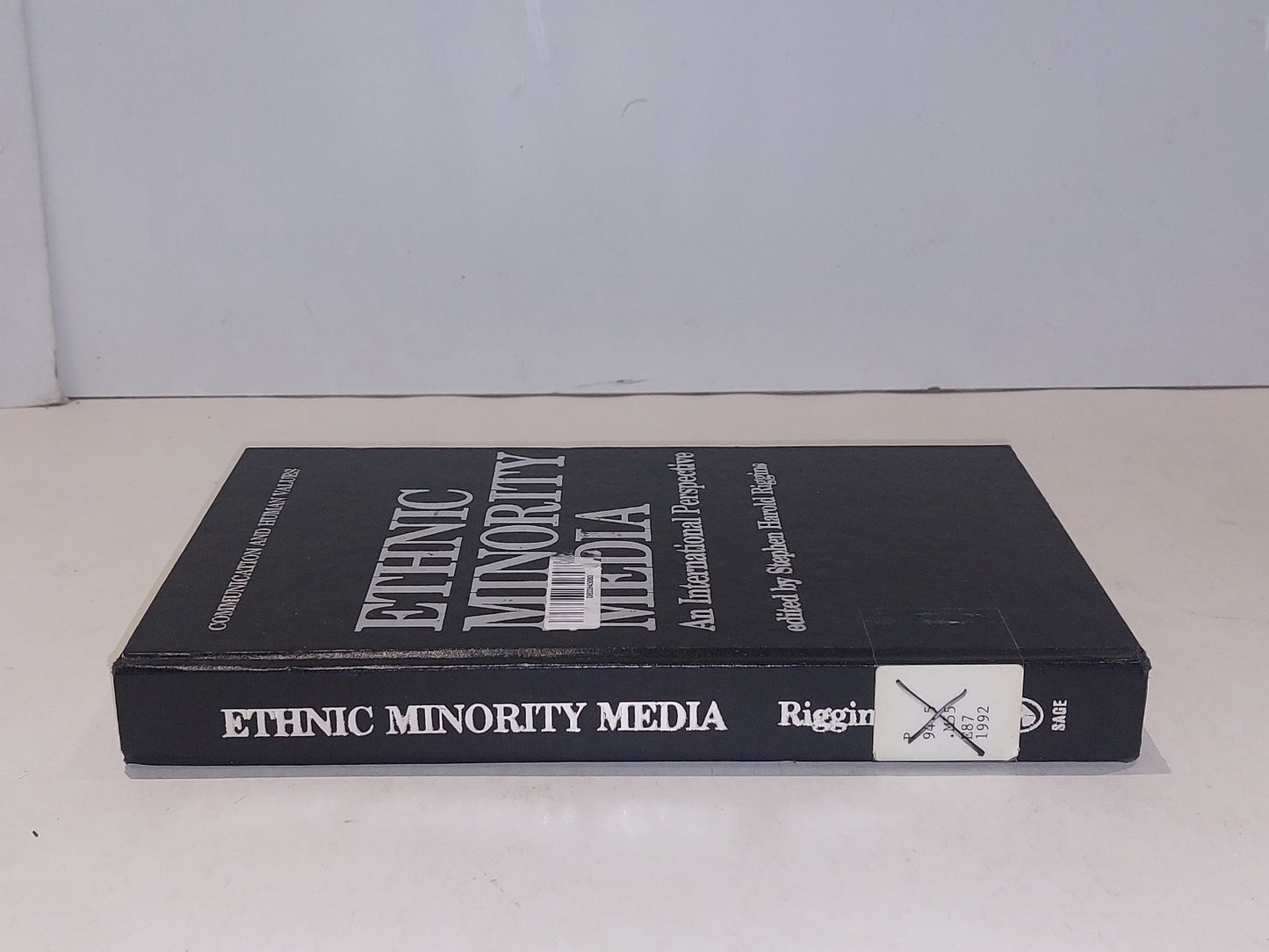 Ethnic Minority Media: An International Perspective1