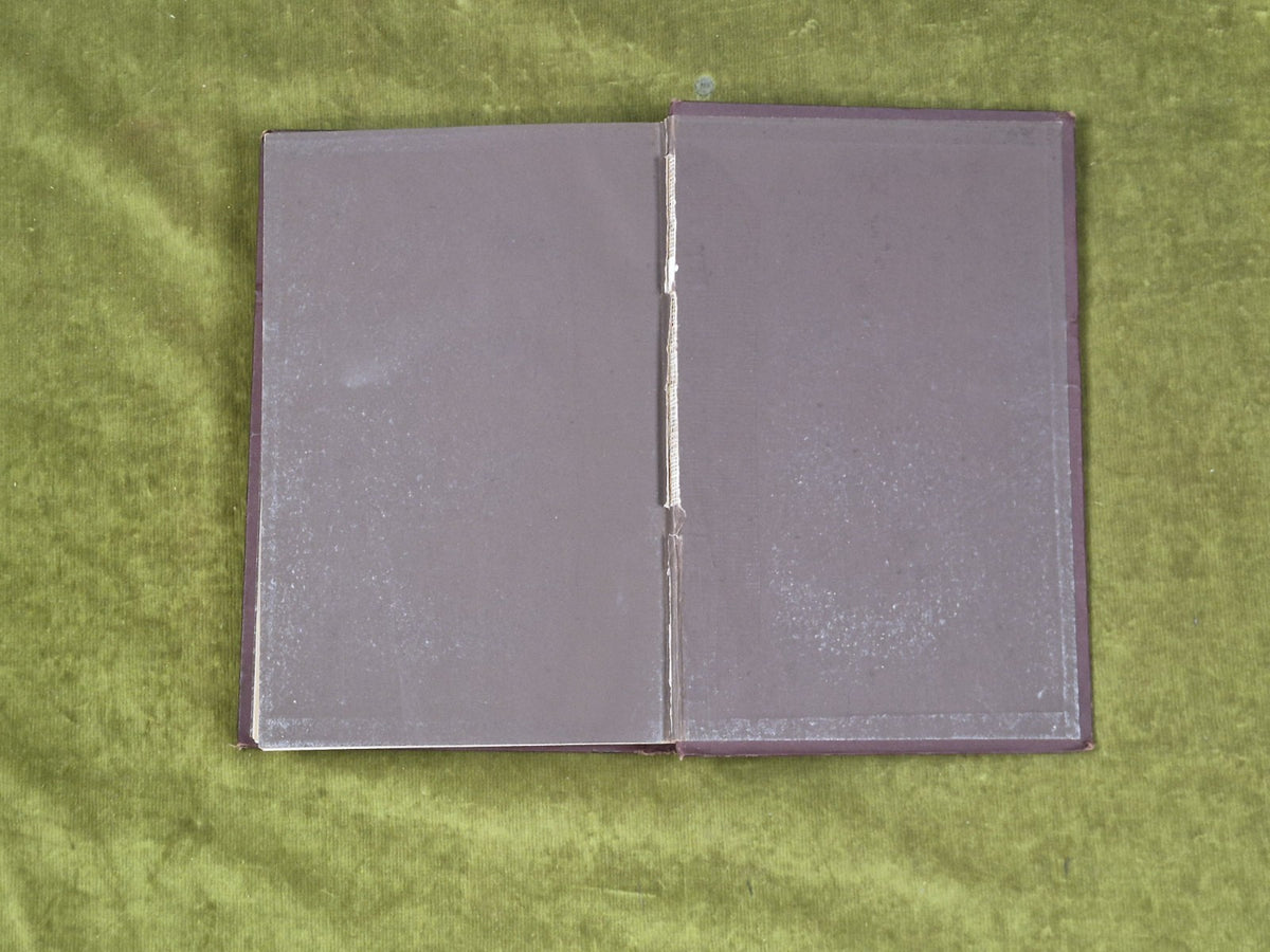 Musings Among the Heather - David Thomson 1881 HB Scottish Poems8