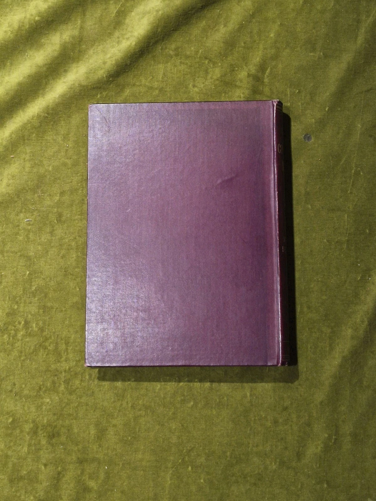 The Criminal Mind - Maurice de Fleury 1901 1st HB  Downey & Co2