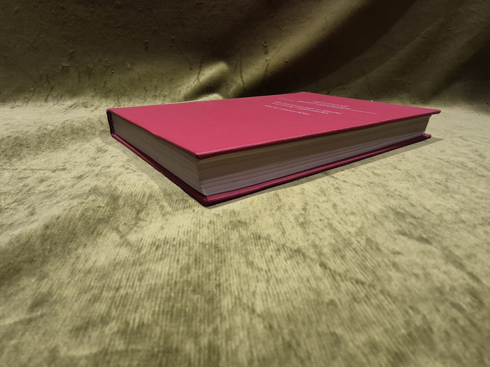 Setting Boundaries : The Anthropology of Spatial & Social - D. Pellow (1996) Hb4