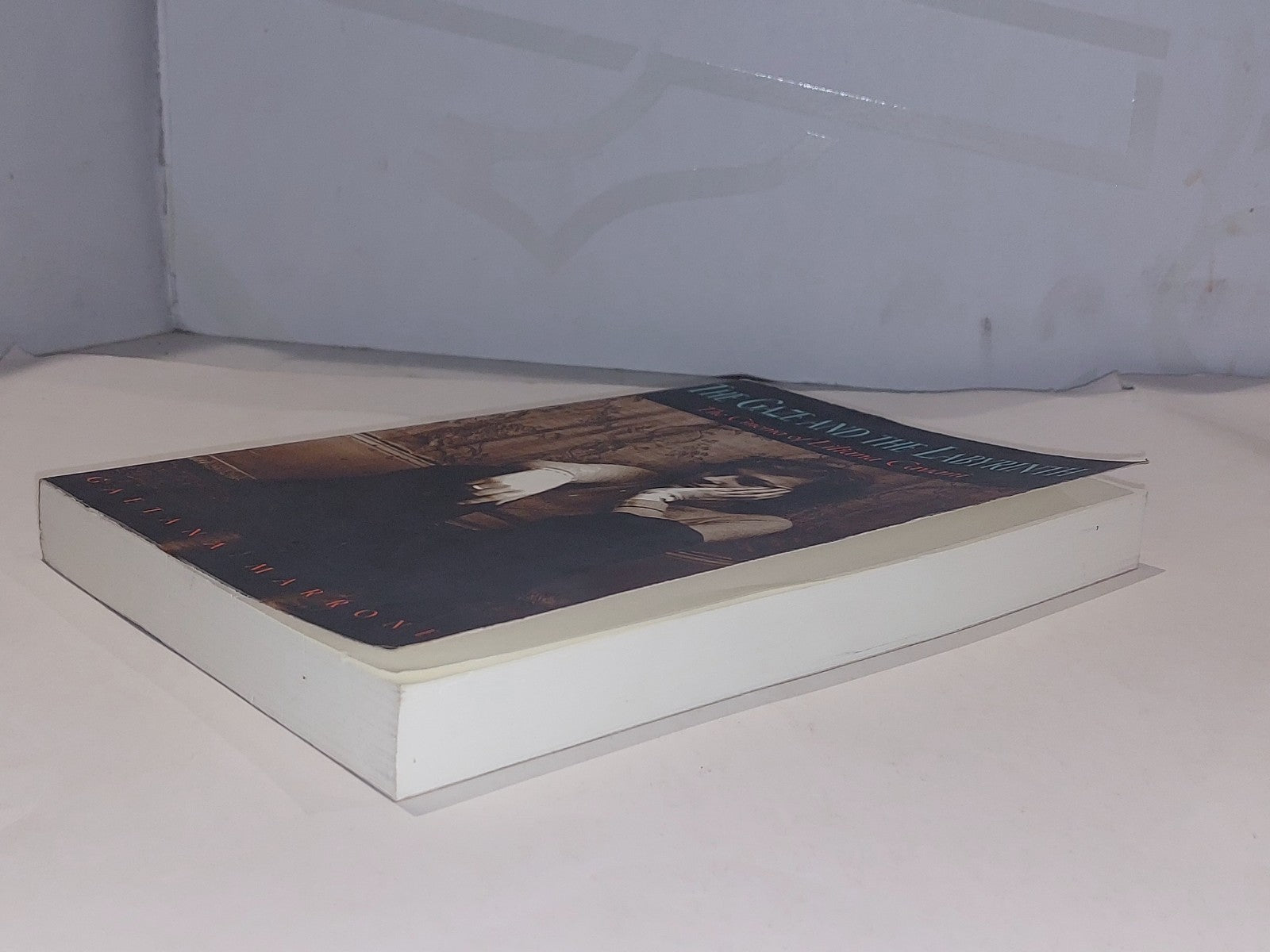 The Gaze and the Labyrinth By Gaetana Marrone 2000 Pb Book4