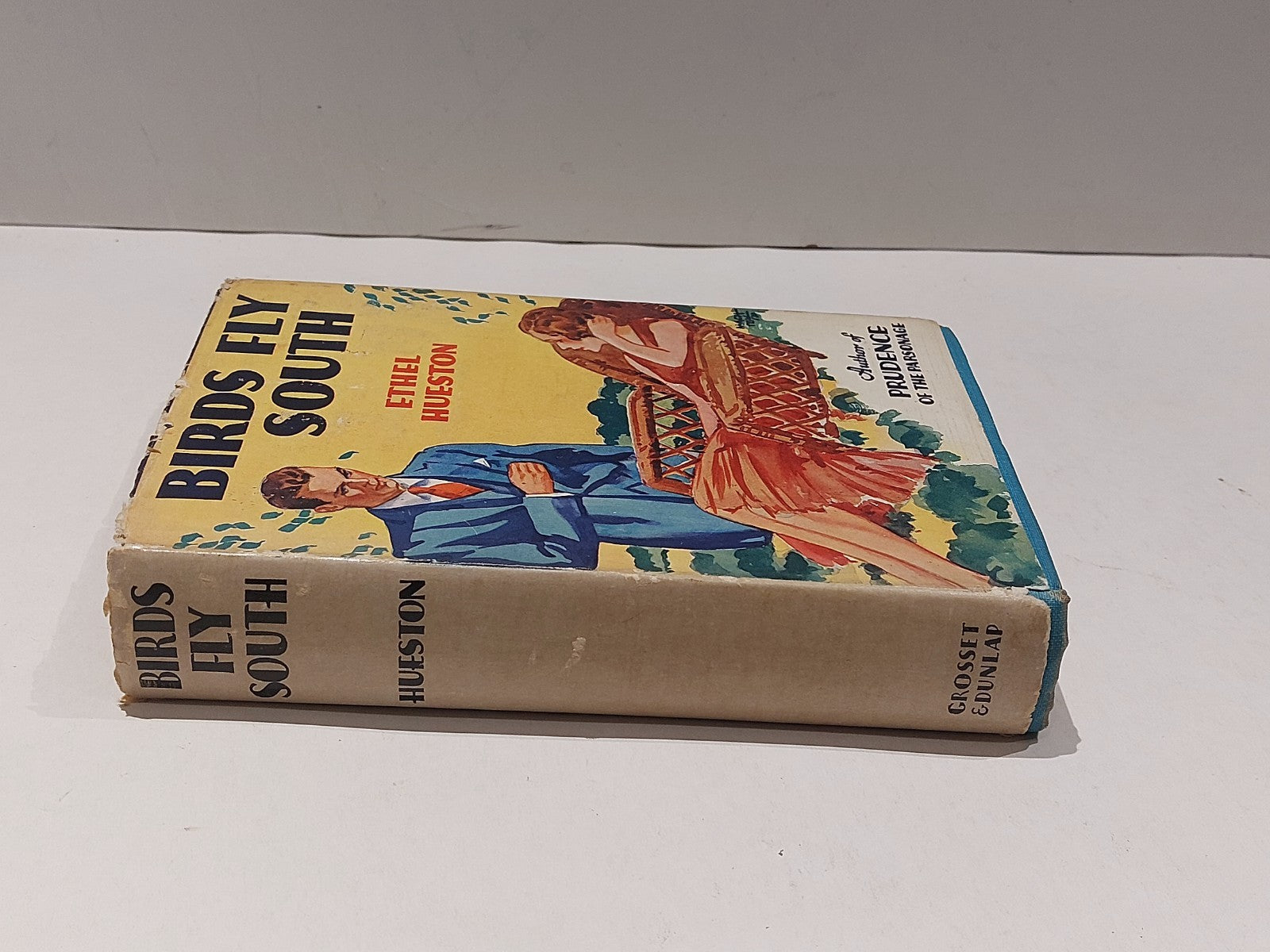 Birds Fly South by Hueston, Ethel 1930 [Grosset & Dunlap] Hb With Dustjacket 1