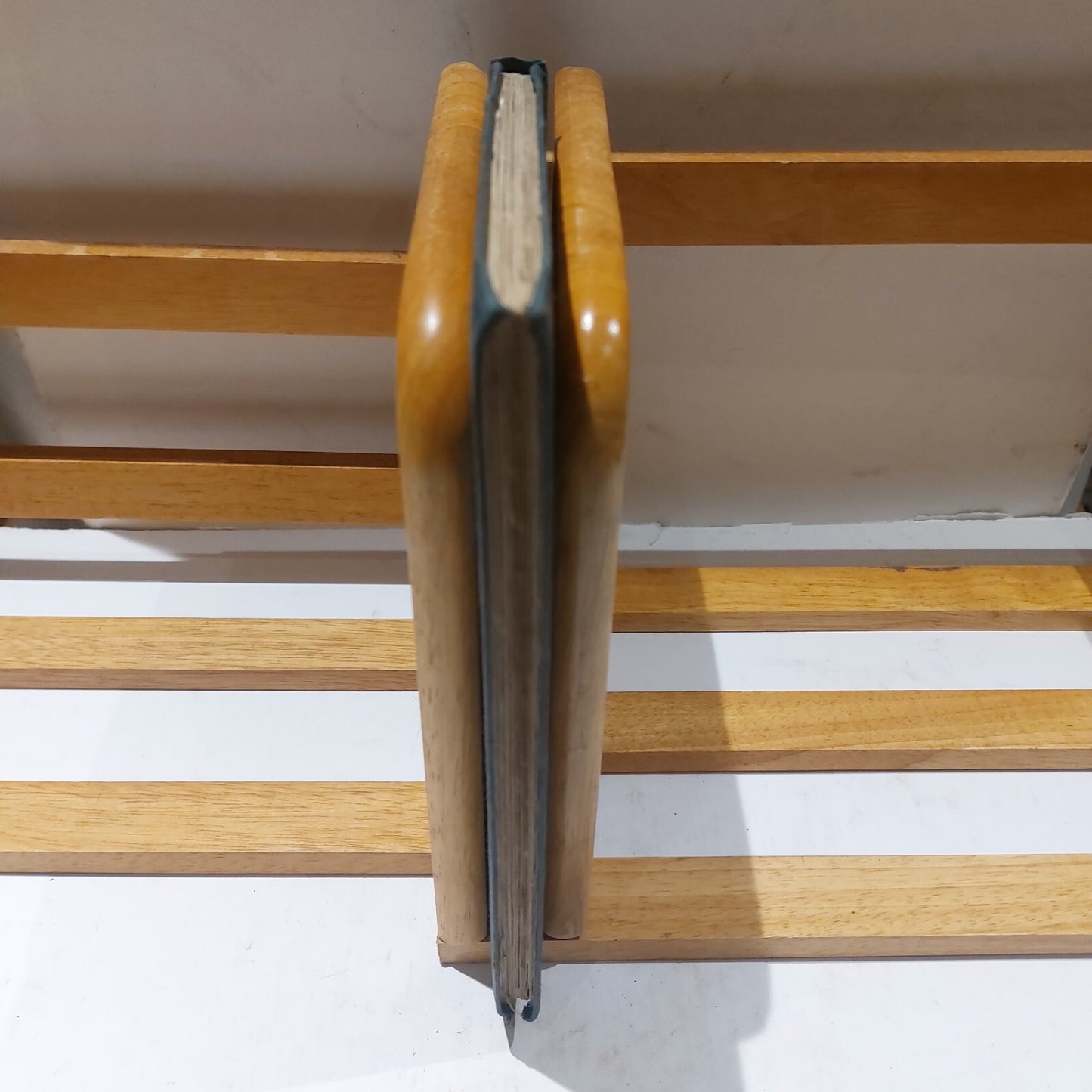 Remnant Found Or Place Of Israel's Hiding Discovered. Rev Jacob Samuel (1841)2