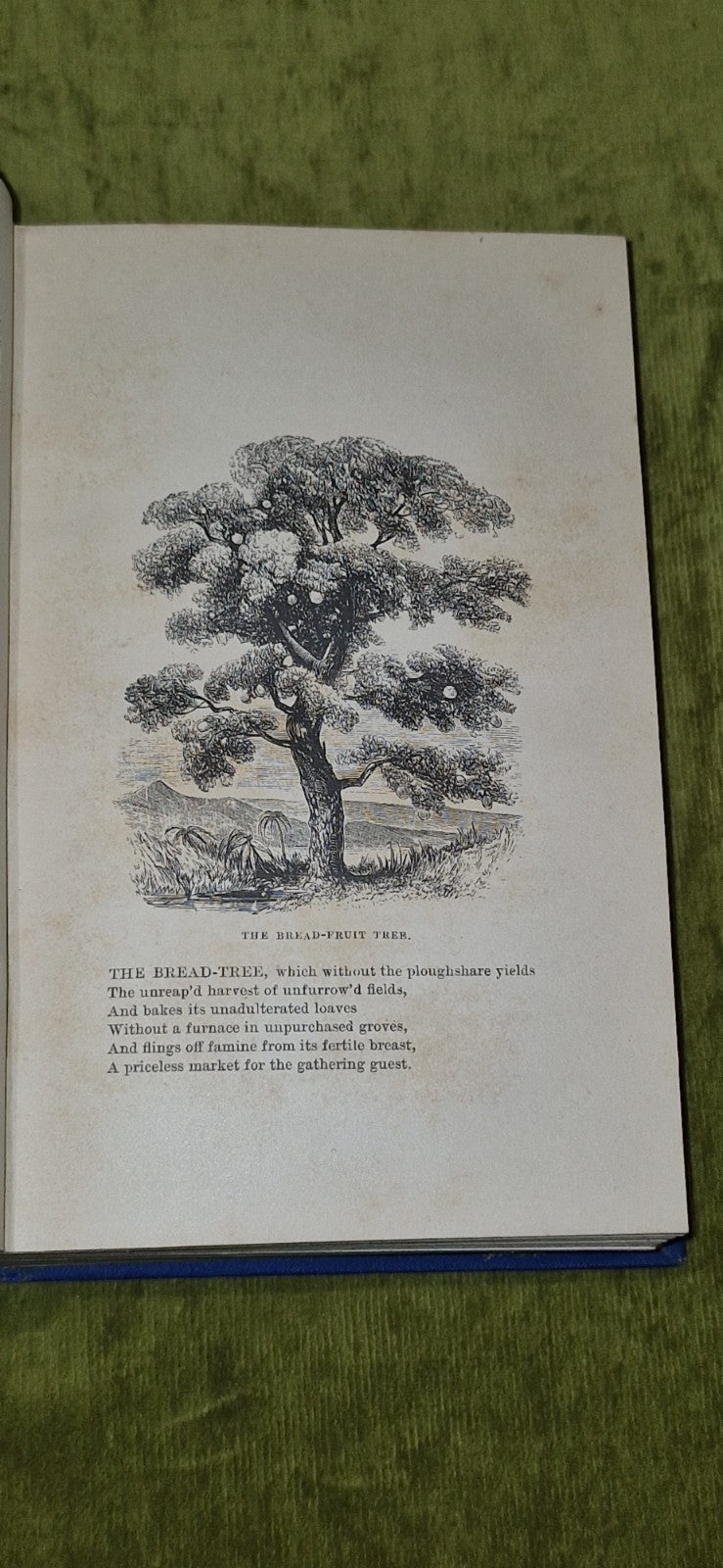 Pitcairn: The Island, The People, The Pastor (1860) presumed 1st. Boyles Murray6