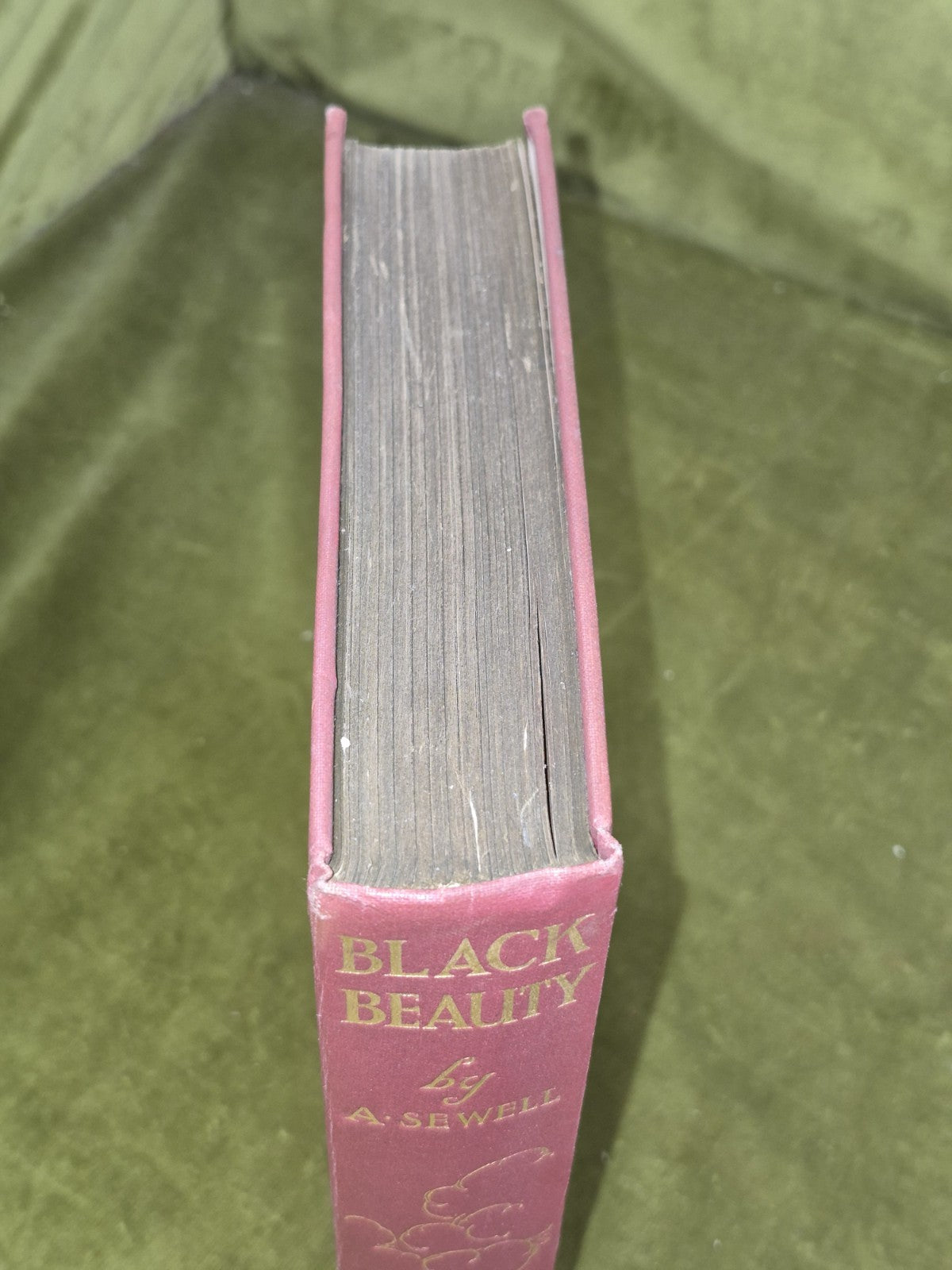 Black Beauty Lucy Kemp-Welch Anna Sewell 1926 Second Reprint Dustjacket 5