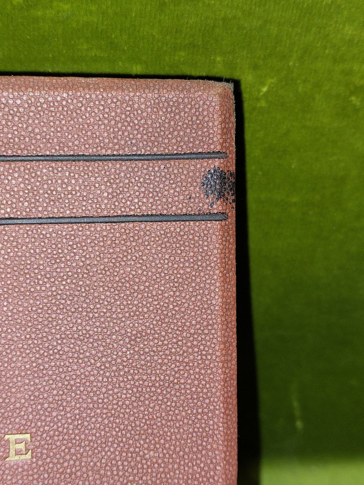 Glimpses of Life in Victoria by a Resident (1872) 1st Edition 2