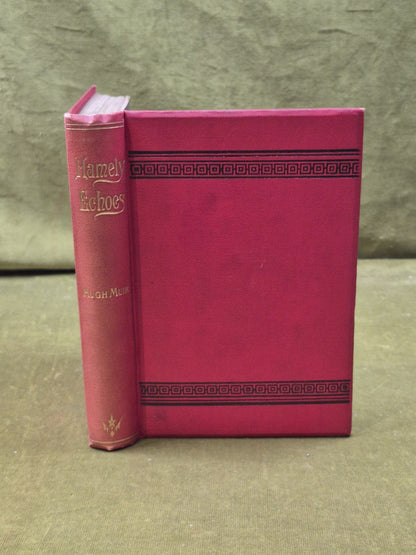 Hamely Echoes from An Auld Toun by Hugh Muir , Aird and Coghill 1899 1st HB0