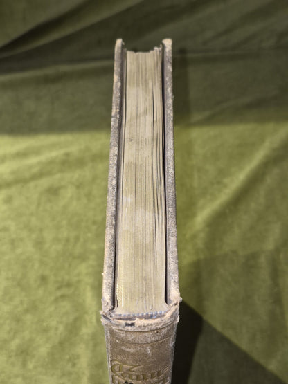 Tannhauser Willy Pogany Publisher's Deluxe Binding Roan Wagner2
