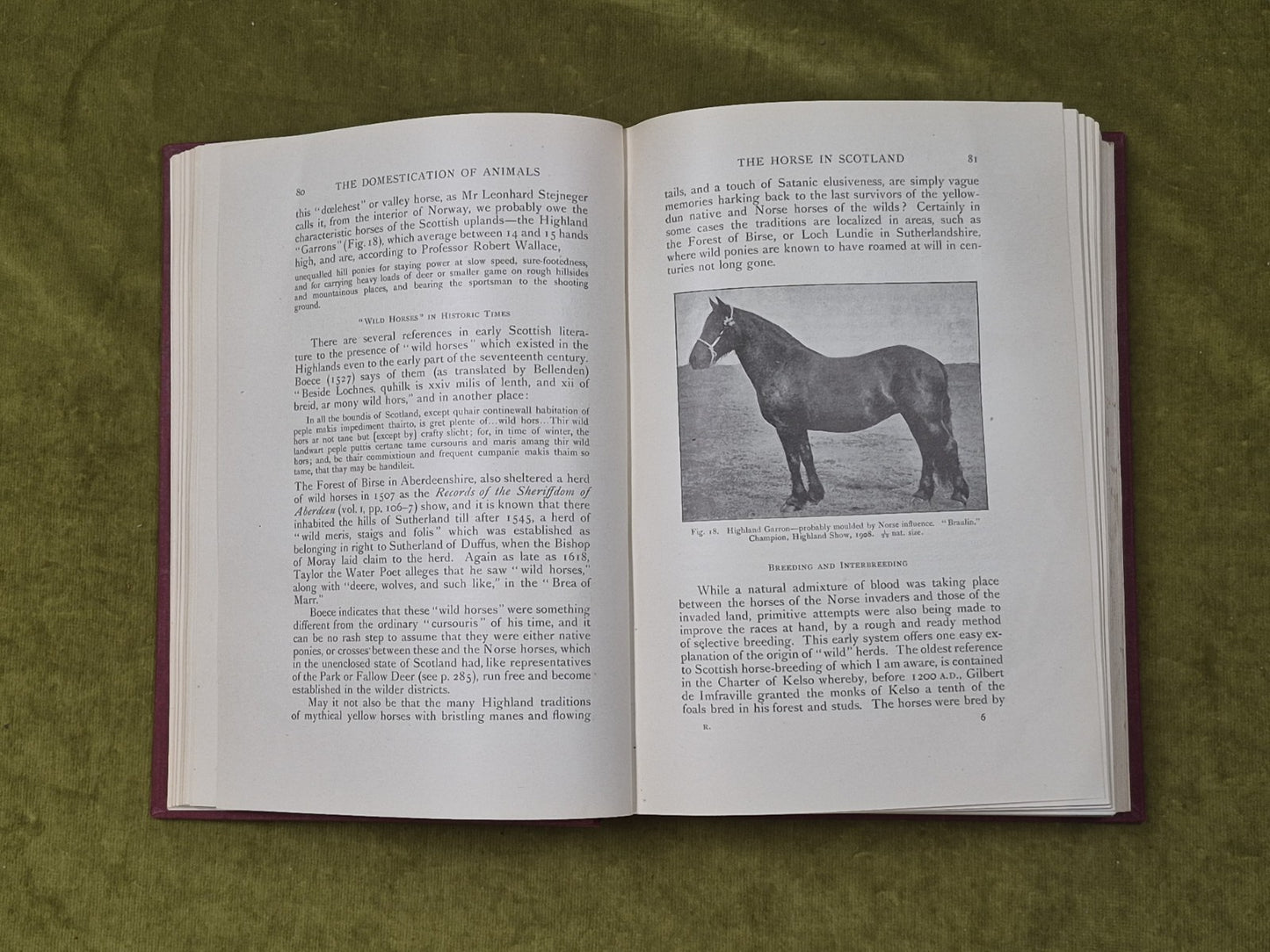 The Influence Of Man On Animal Life In Scotland - James Ritchie, Cambridge 19205