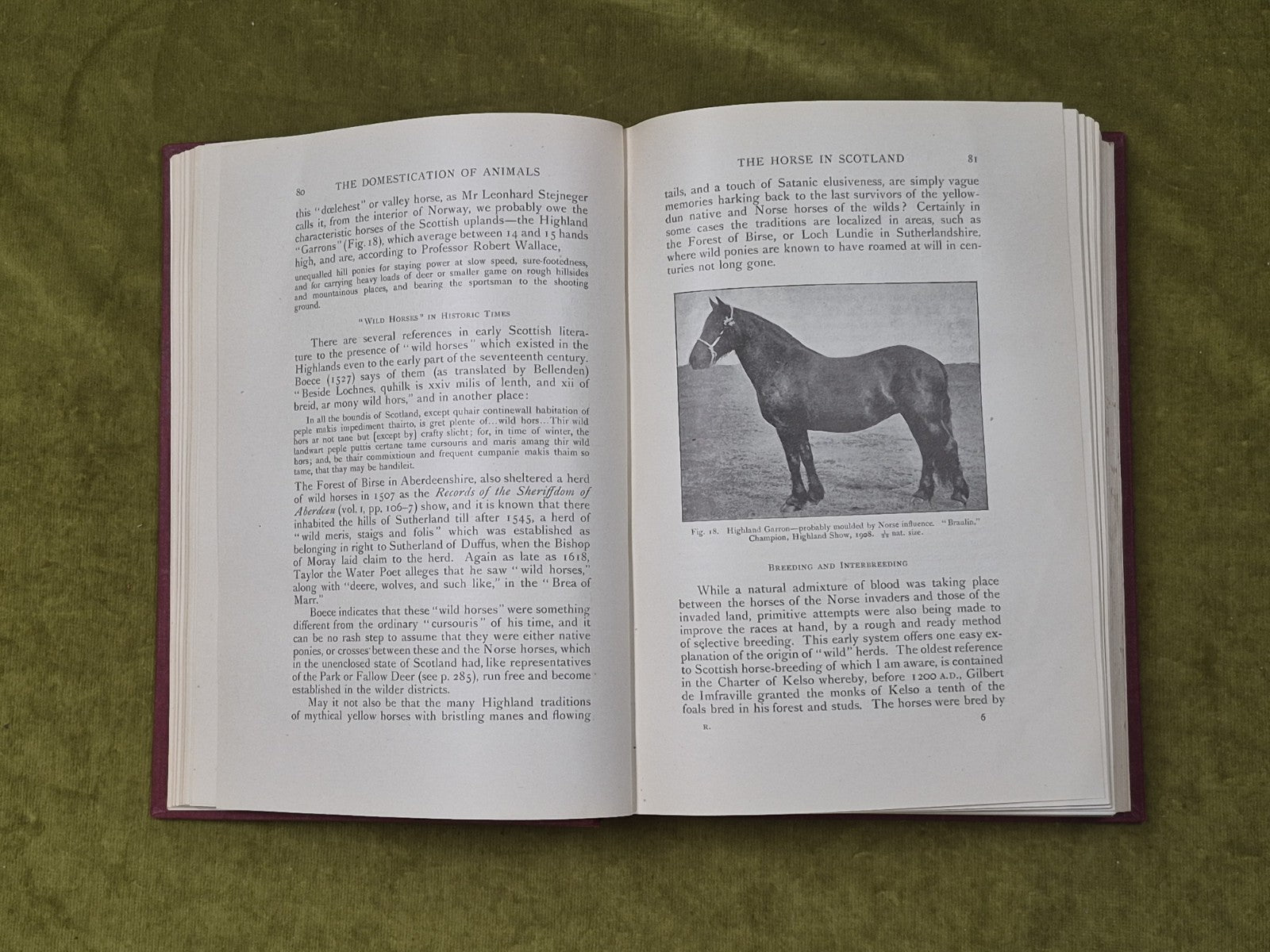 The Influence Of Man On Animal Life In Scotland - James Ritchie, Cambridge 19205