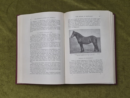 The Influence Of Man On Animal Life In Scotland - James Ritchie, Cambridge 19205