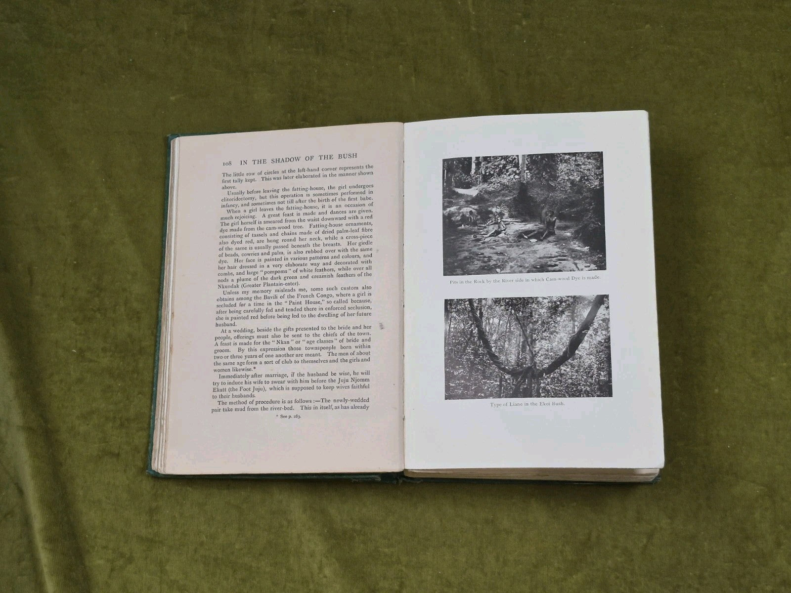 In the shadow of the Bush by P. Amaury Talbot 1912 Heinemann 1st HB8