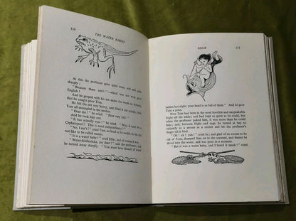 The Water Babies by Charles Kingsley 1939 Ist Ed IIlustrated HB Good Condition9