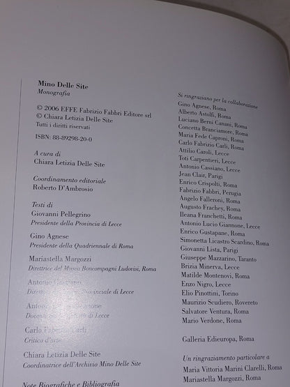 Mino Delle Site (Monograph) By Chiara Delle Site Pb Book2