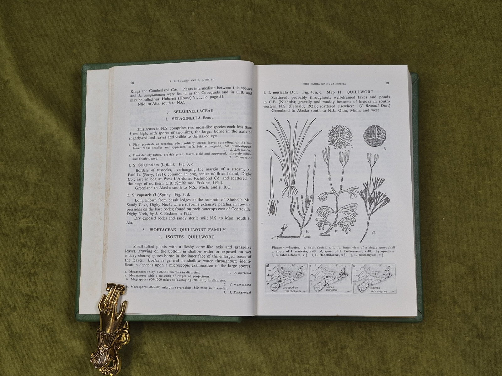 The Flora of Nova Scotia - A E Roland & E C Smith , N S Museum 1969 1st Ed HB6