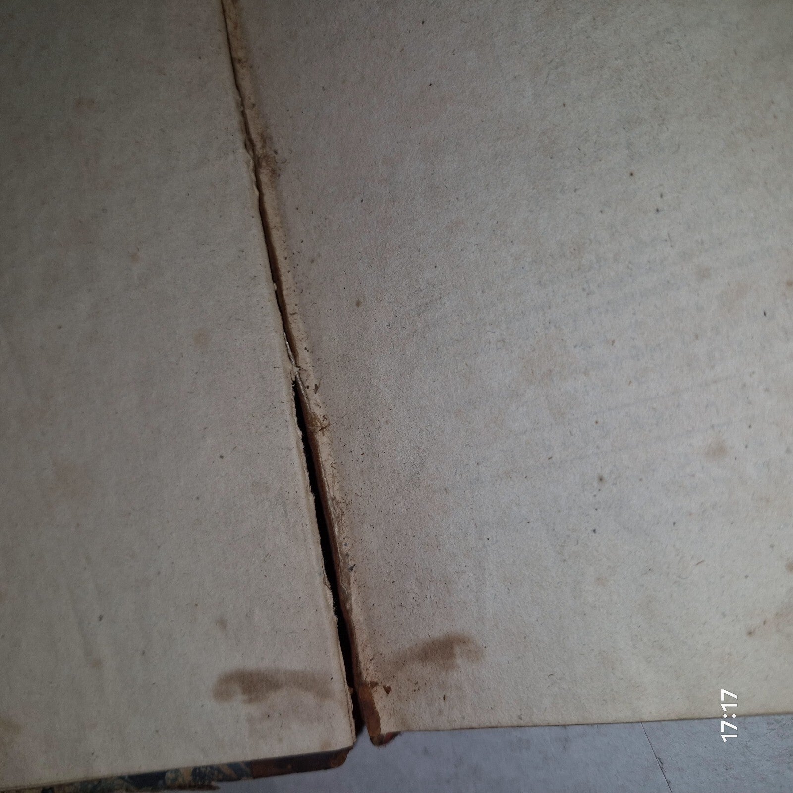 1783 Flora Diaetetica or History of Esculent Plants By Charles Bryant 1st Editn8