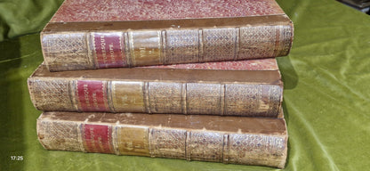 Picturesque Europe: Great Britain and the Continent 3 Volumes (First 1875-1879)6