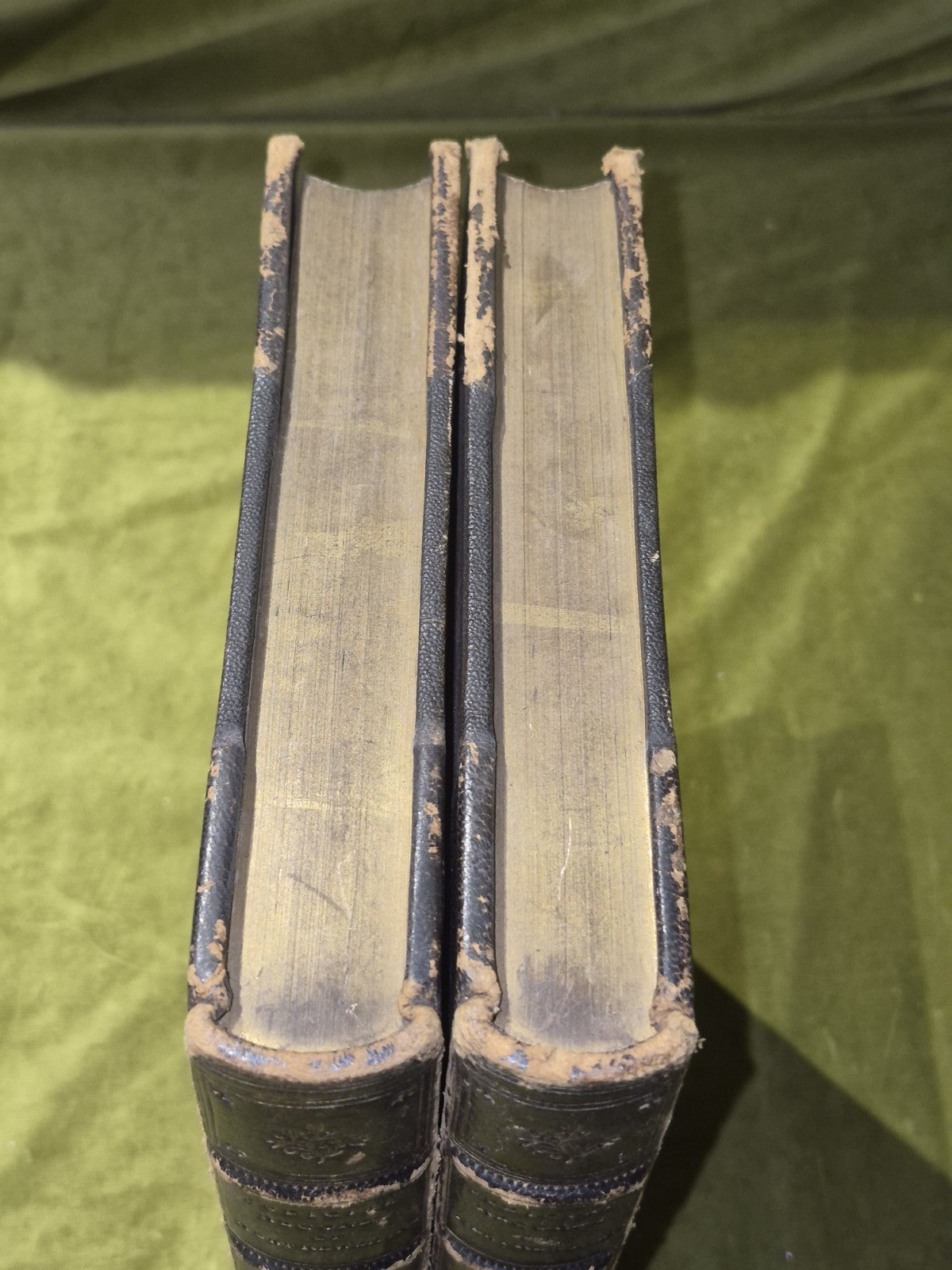 Judicial Records of Renfrewshire 1876/8 William Hector Series 1 + 2 Leather Bind2