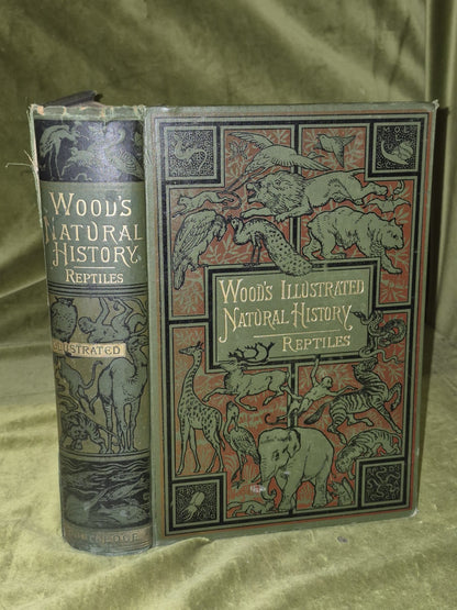 Wood's Illustrated Natural History  Mammals Birds Reptile3