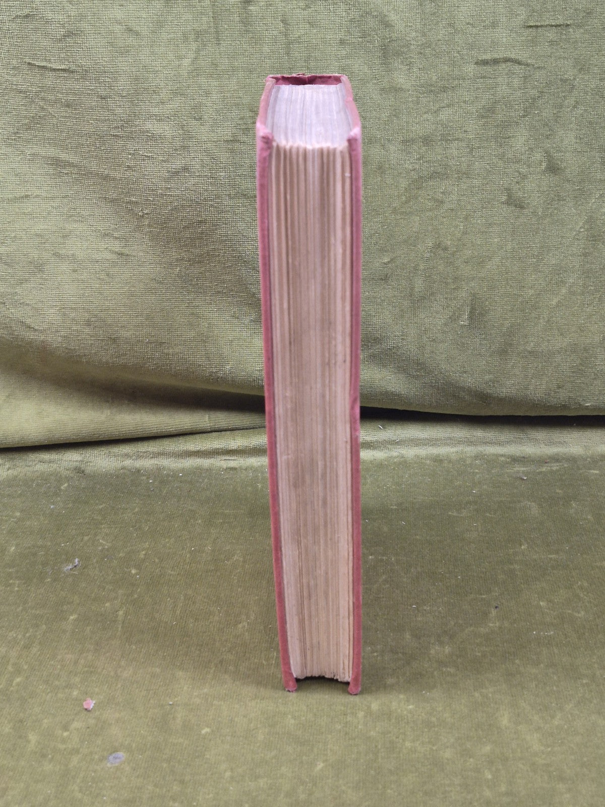 The Birds of the Riviera - Collingwood Ingram , Witherby 1926 HB Ex Lib8