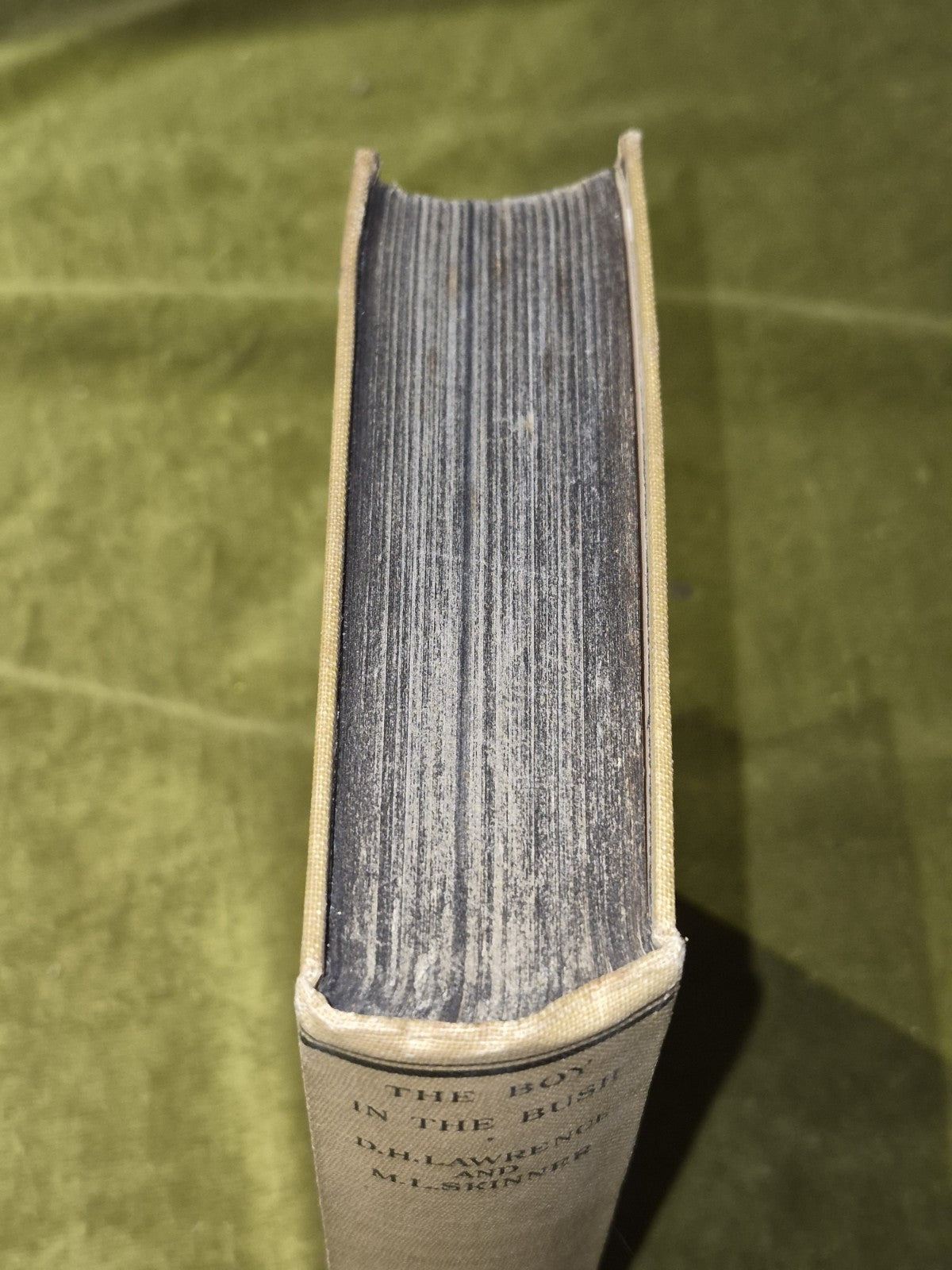 The Boy in the Bush First Edition D H Lawrence & Skinner2