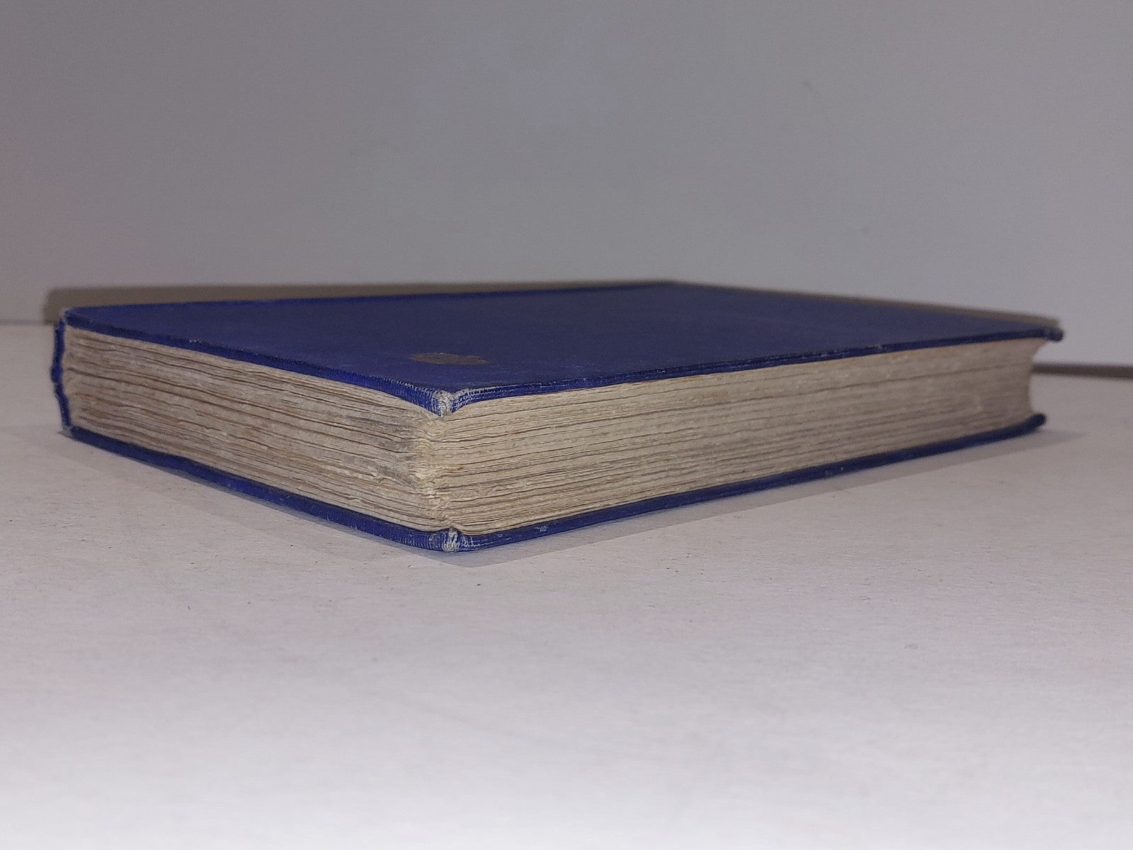 An English Wife in Berlin by Evelyn Princess Blucher, (1920) Eighth Impression1