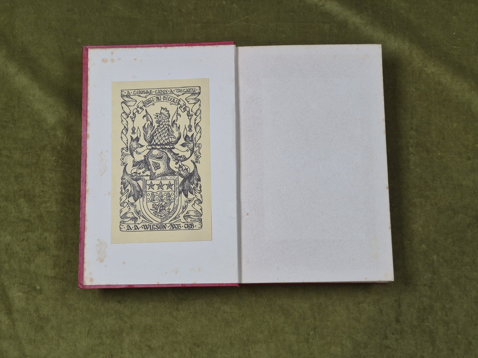 The Trial of Mary Queen of Scots - A Francis Stewart , William Hodge 1923 1st3