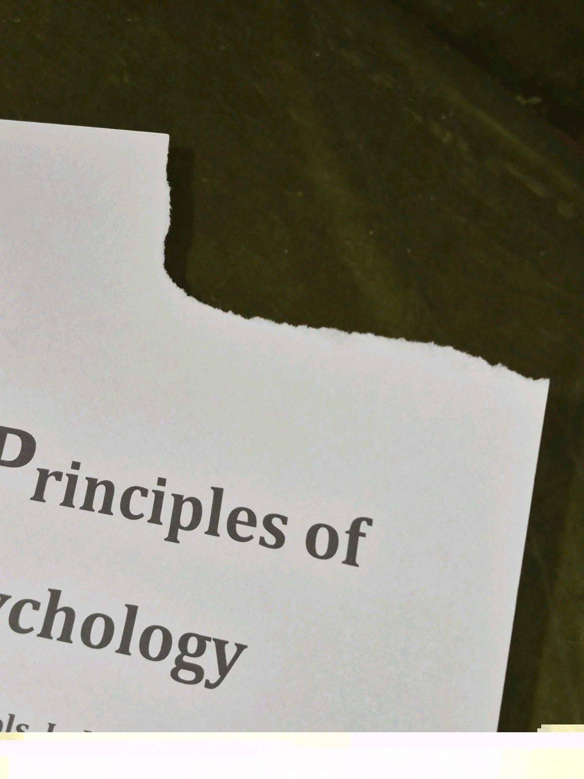 The Principles of Psychology, Vols. 1-2 (2 Volumes in 1)4