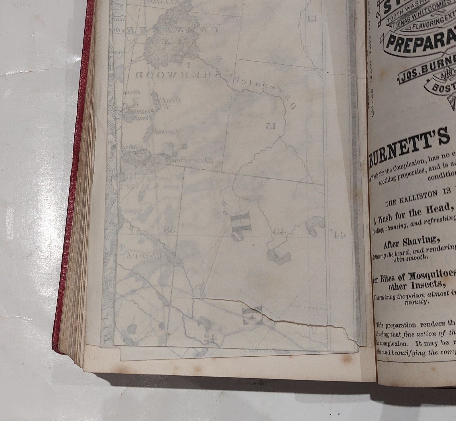 James Osgood. Osgood's Middle States: A Handbook For Travellers (1877) 4