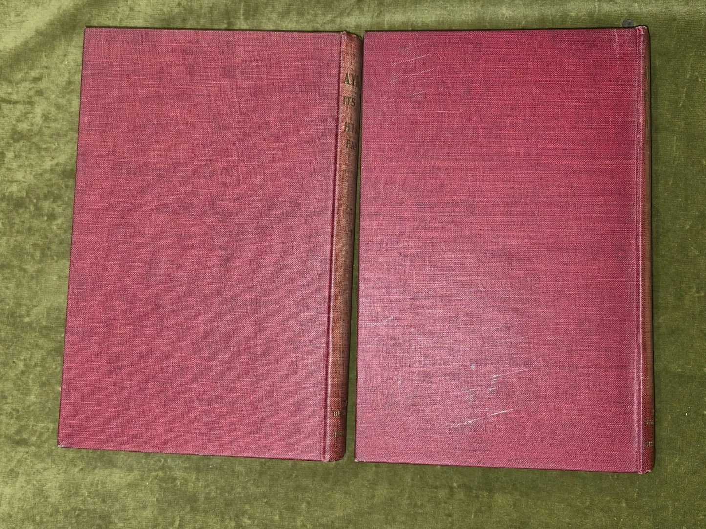 Ayrshire Its History and Historic Families William Robertson two volumes2