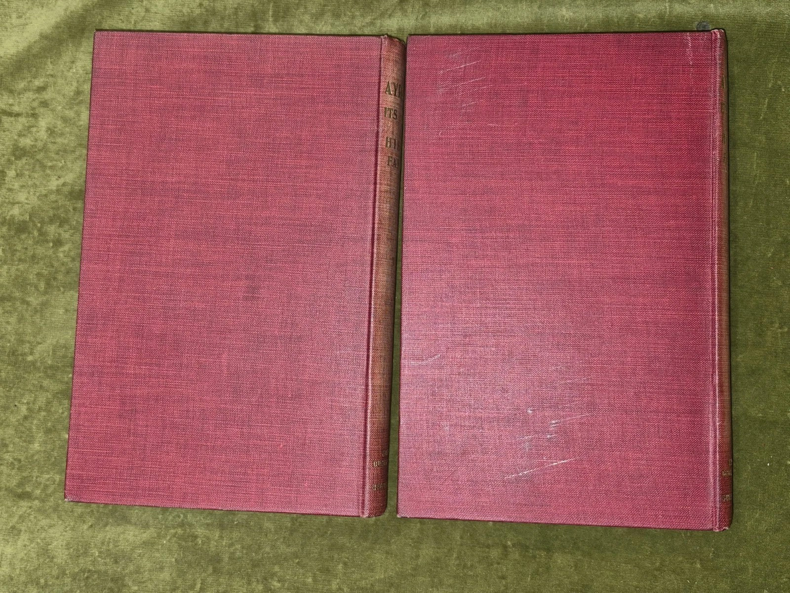 Ayrshire Its History and Historic Families William Robertson two volumes2