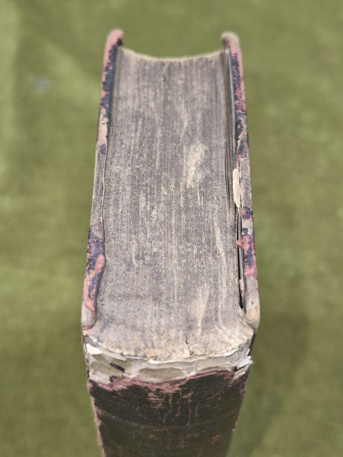 Poetry of the Seasons and the Kingdoms of Nature 1842 William Oliphant Edinburgh1