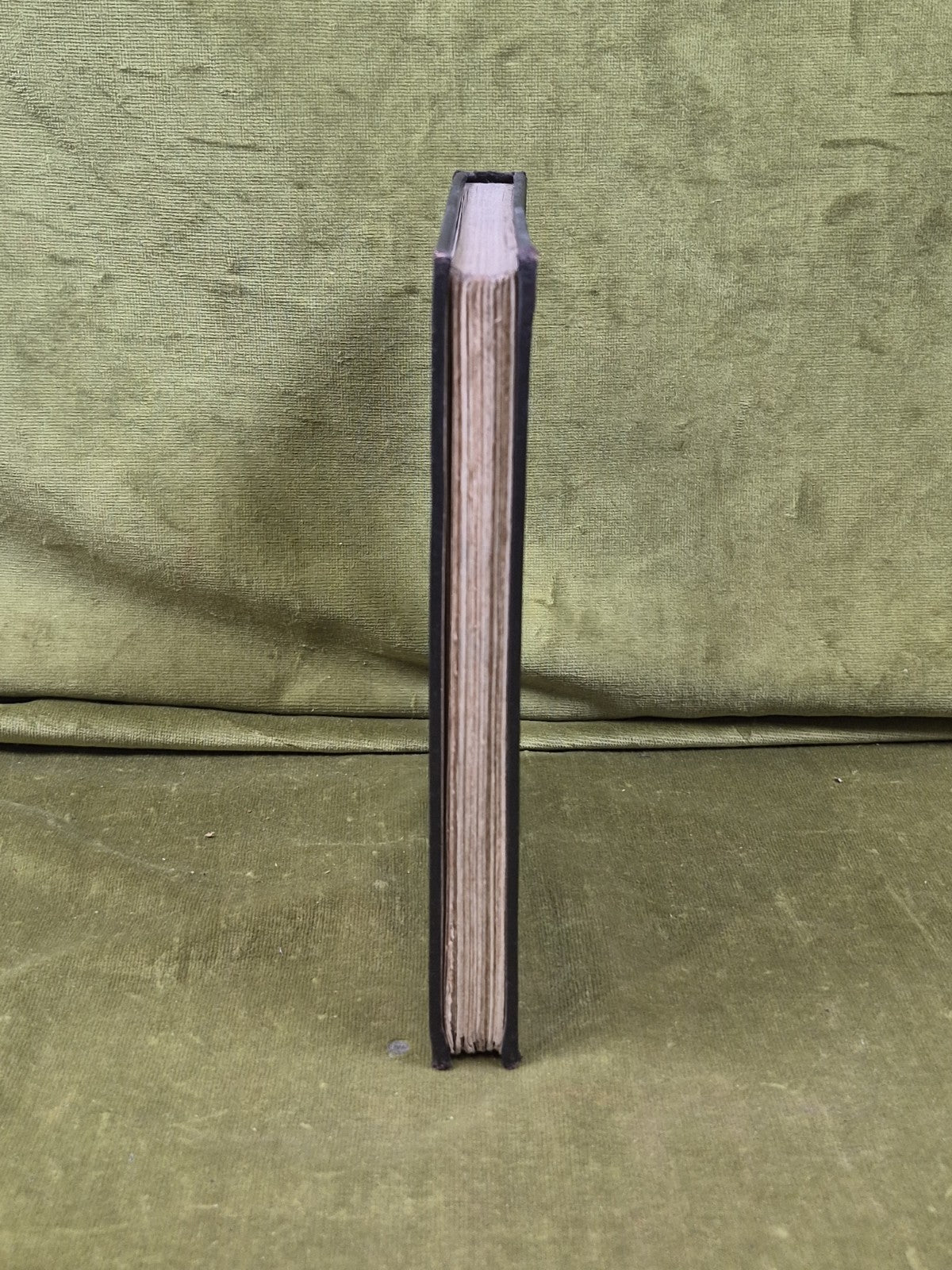 Cartoons in Rhyme & Line By Sir Wilfrid Lawson Bart & Carruthers Gould 1st 19058