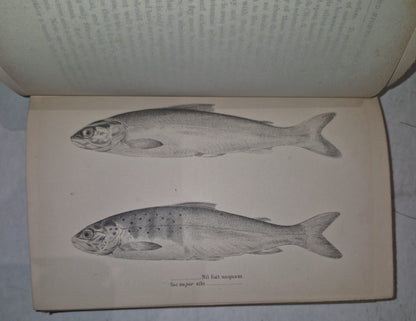 Days and Nights of Salmon Fishing William Scrope 18857