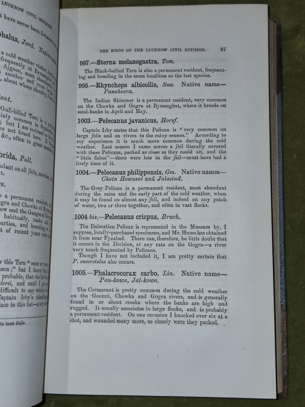 Stray Feathers Ornithology in India volume 10 X Calcutta Central Press8