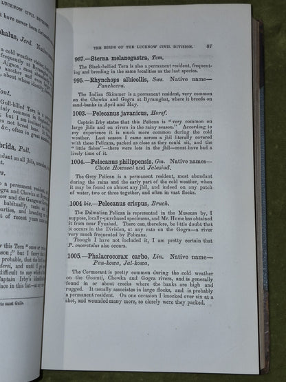 Stray Feathers Ornithology in India volume 10 X Calcutta Central Press8