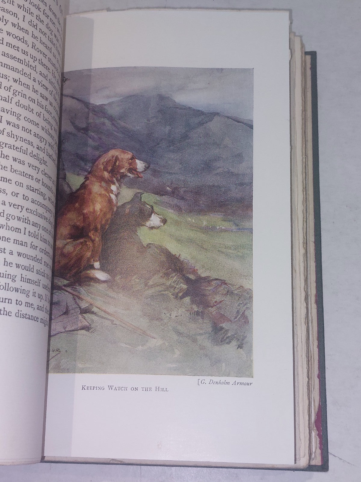 Wild Sports And Natural History Of The Highlands, Charles St John	 (1927) Hb5