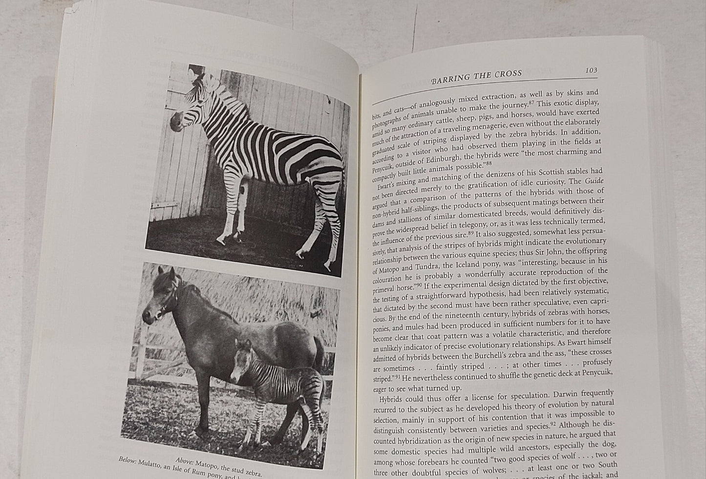 The Platypus and the Mermaid: And Ot..., Ritvo, Harriet2