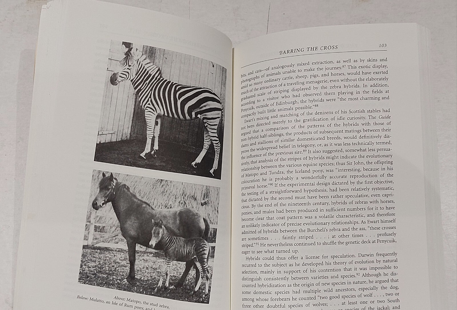 The Platypus and the Mermaid: And Ot..., Ritvo, Harriet2